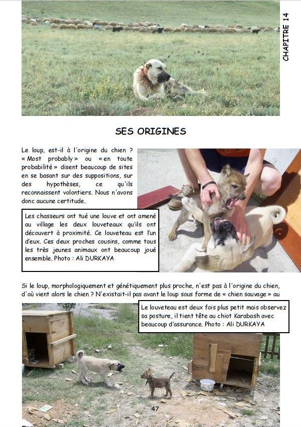 2009-08-05_09h02.10(1)_livre-karabash_ch14.jpg